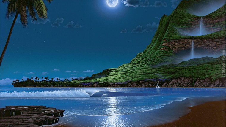 Море пальмы дельфины