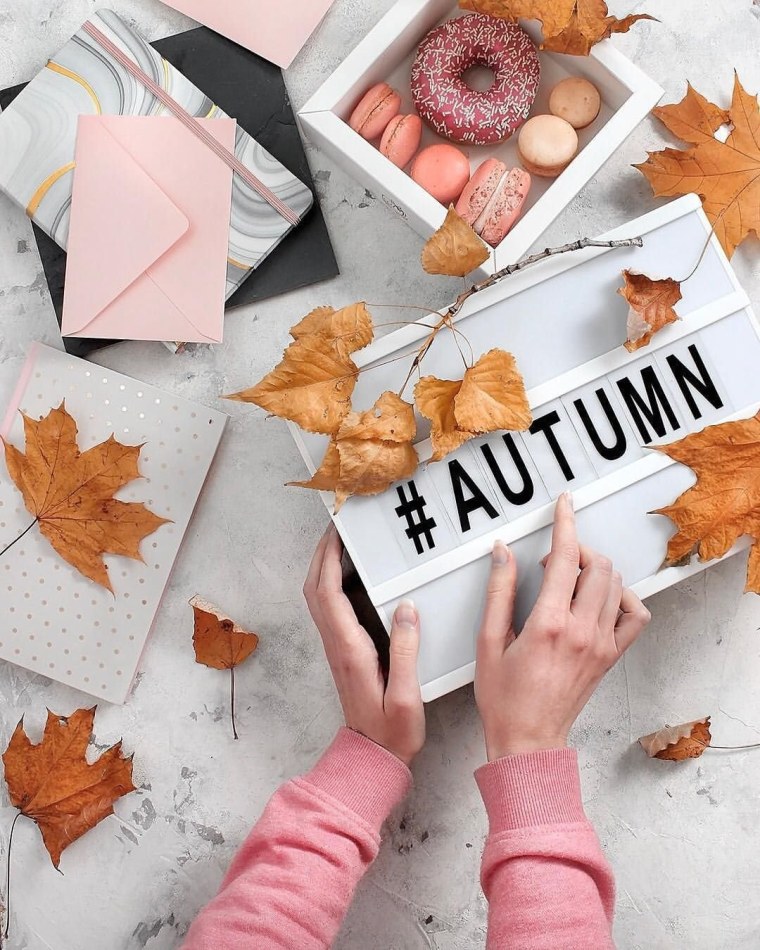 Розовые цветы Минимализм