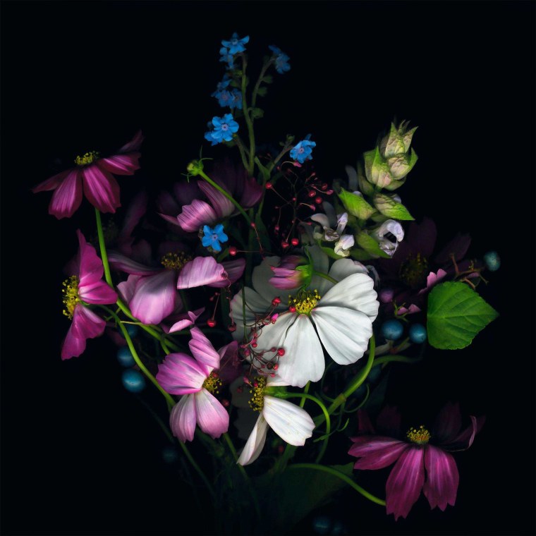 Фон для Аска