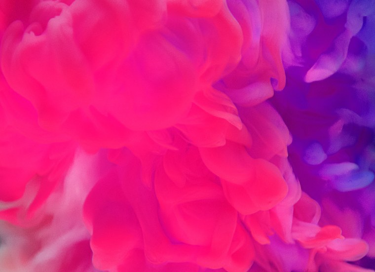 Изящные стильные цветы