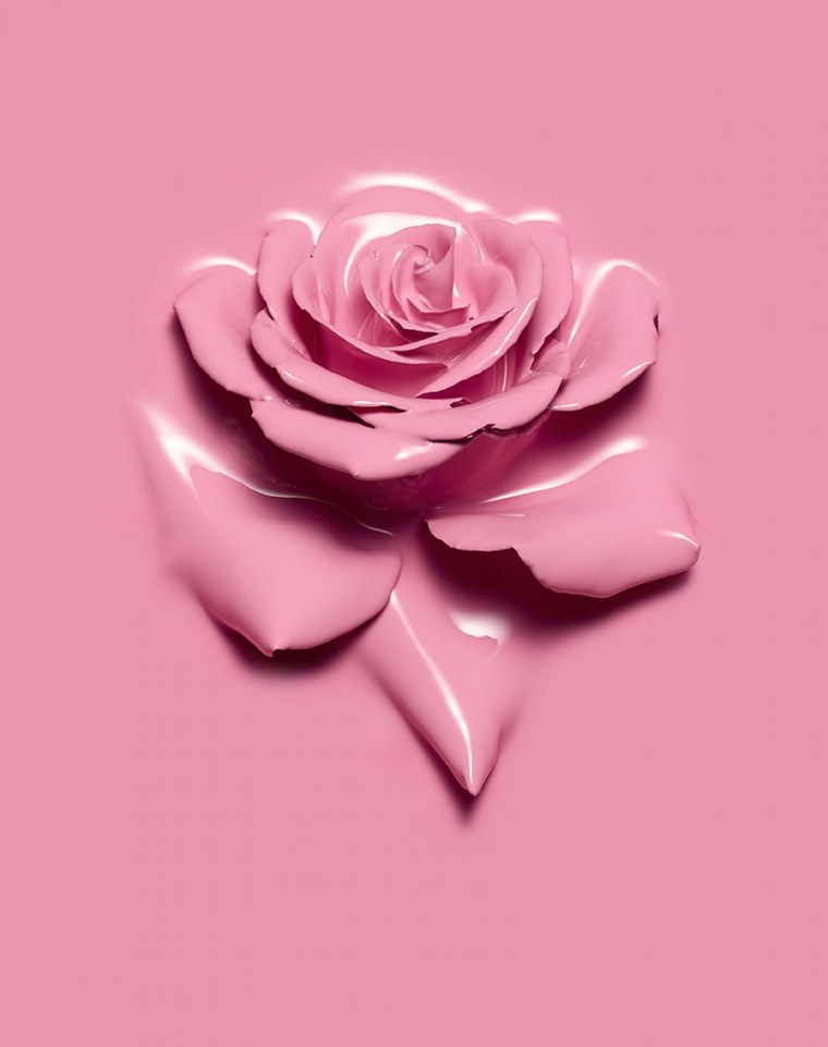 Фиолетовый цветок iphone