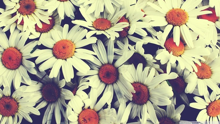 Фоны для рабочего стола 2560x1440