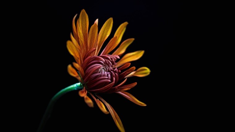 Цветочный узор