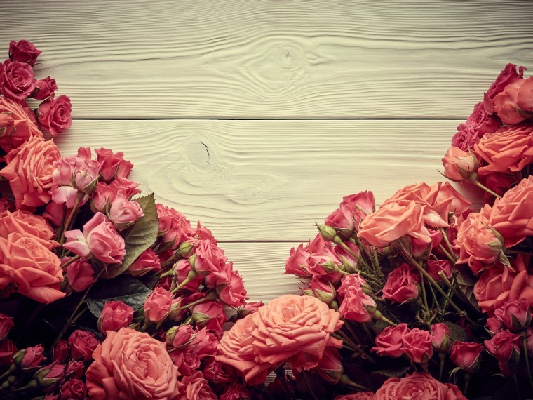 Флокс розовая гортензия