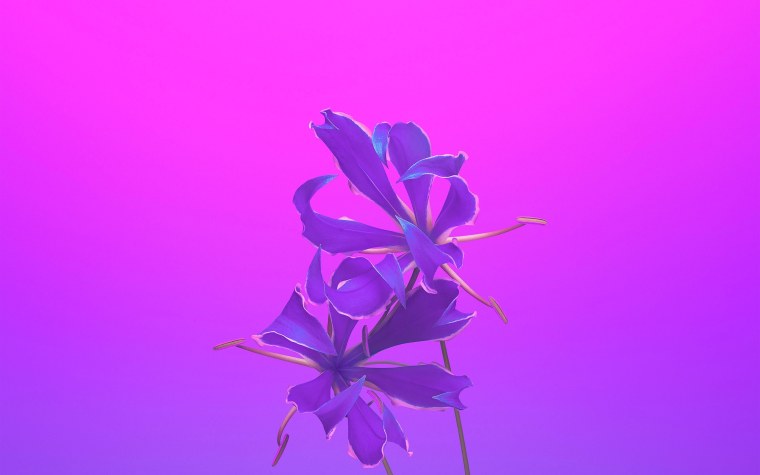 Нюдовые пионы