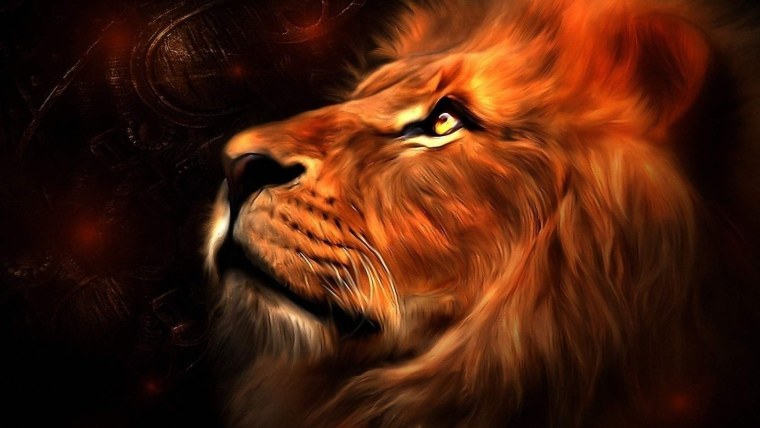 Обои на планшет Лев