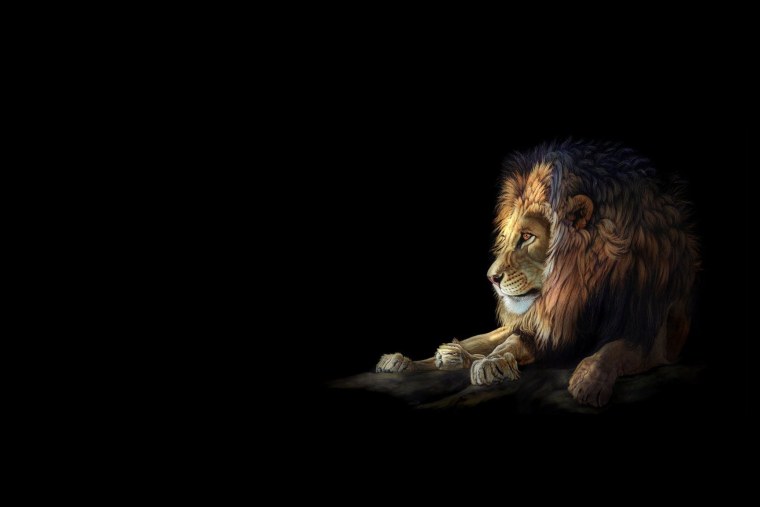 Лев на черном фоне