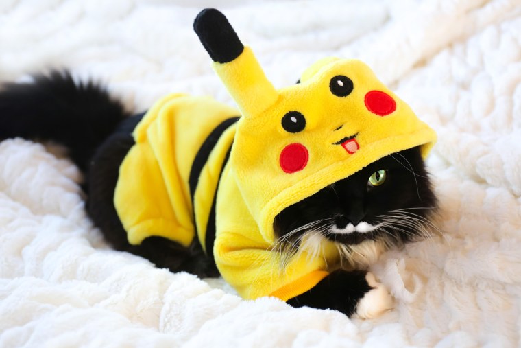 Пикачу в очках