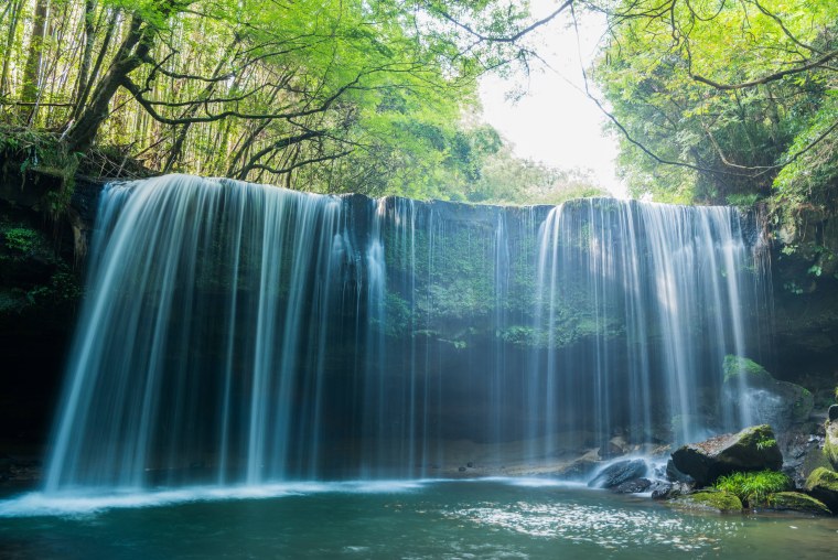 Живые обои на андроид природа