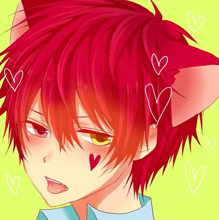 Акаши Сейджуро неко