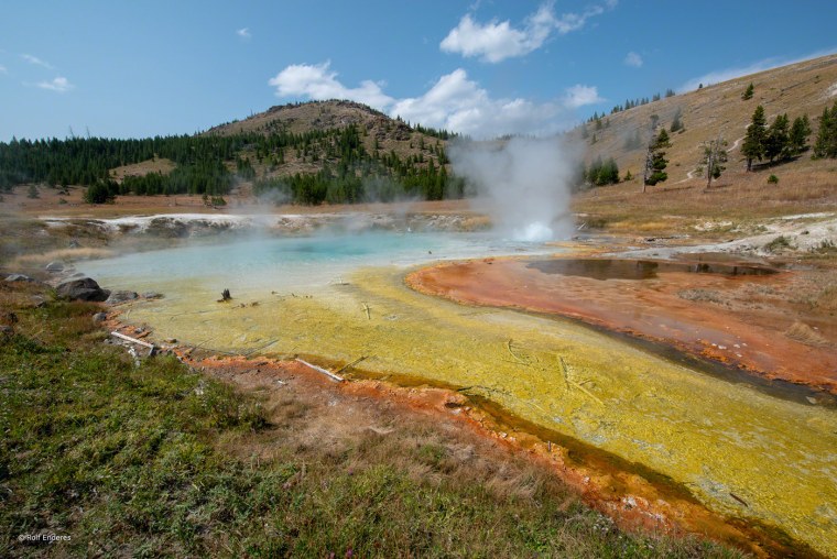 Уилфорд Бримли Йеллоустоун