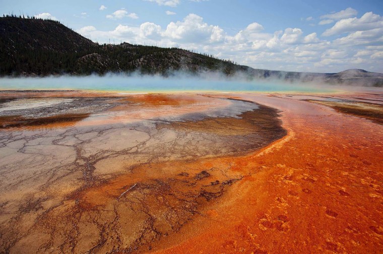 Йеллоустонский заповедник