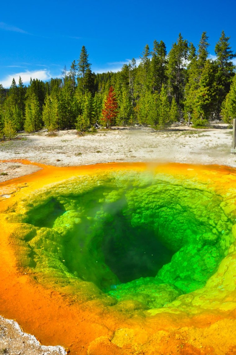 Парк Еллоу Стоун