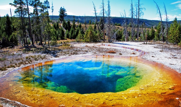 Йеллоустонский национальный парк США
