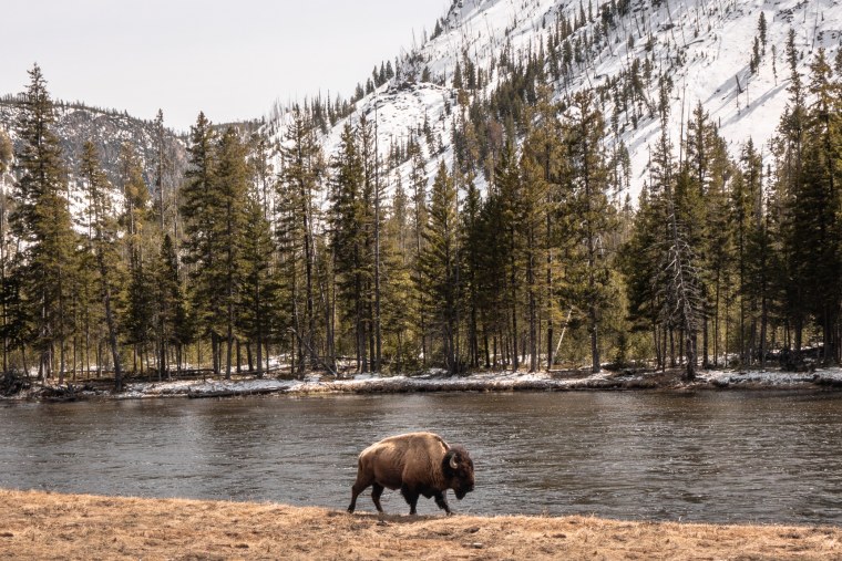Вайоминг штат Йеллоустоун сериал