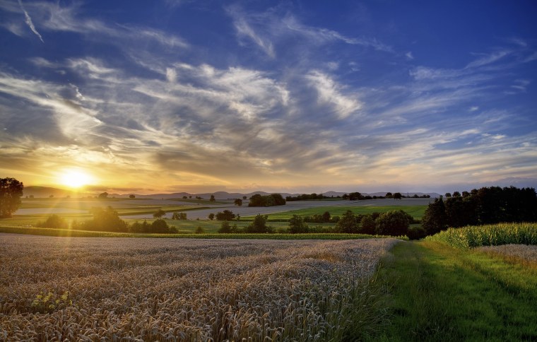 Красивое поле
