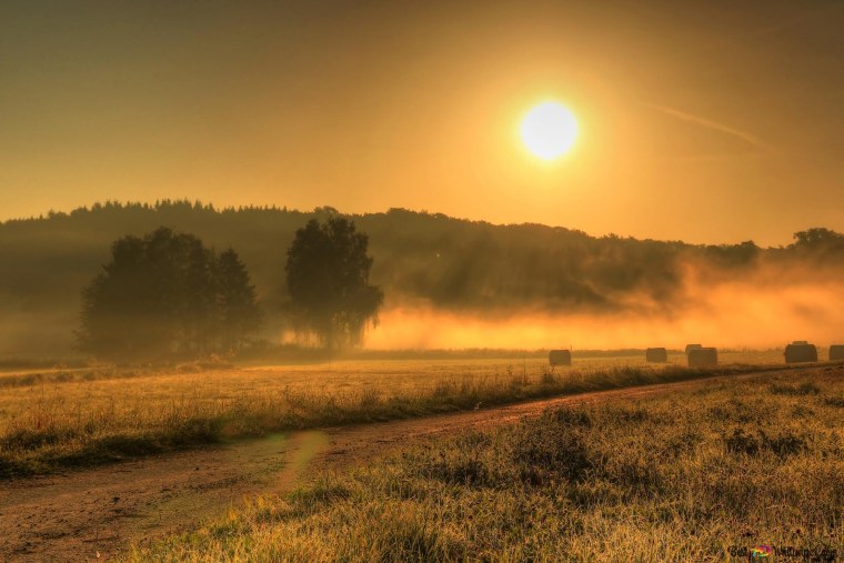 Утро природа