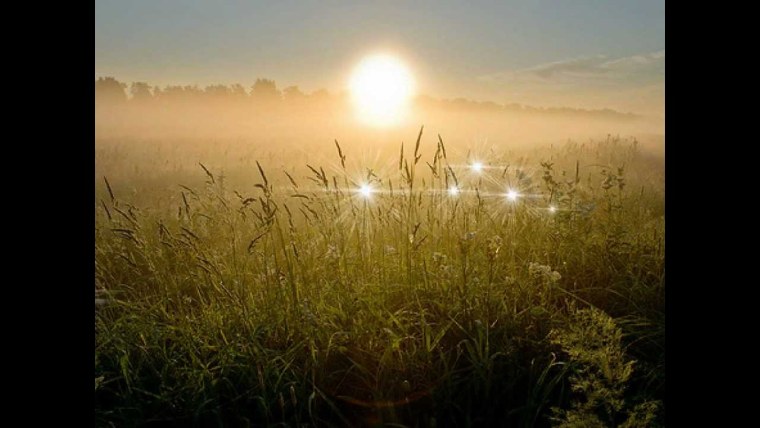 Утреннее солнце