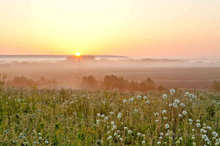 Раннее летнее утро