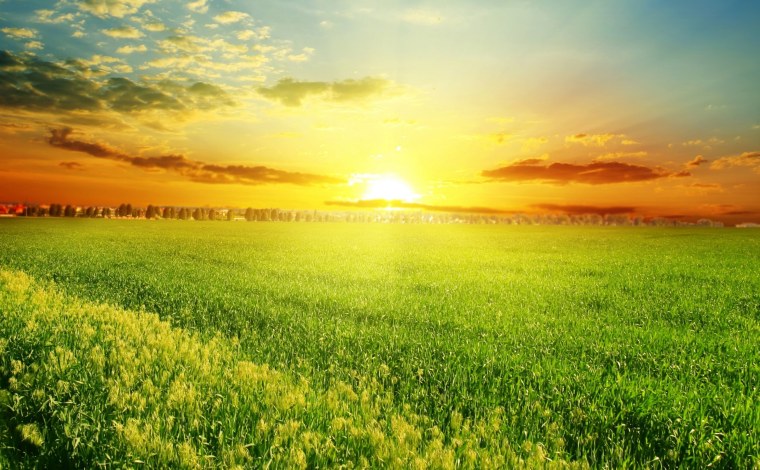 Яркое солнце в поле