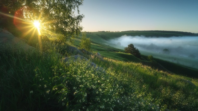 Раннее летнее утро