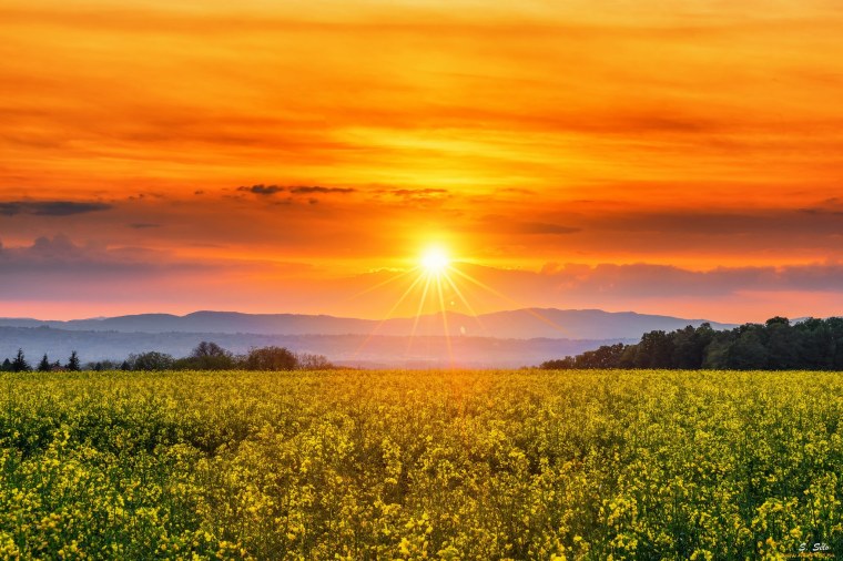 Природа рассвет