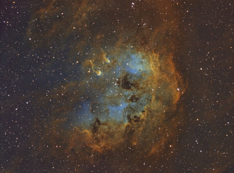 NGC 6231