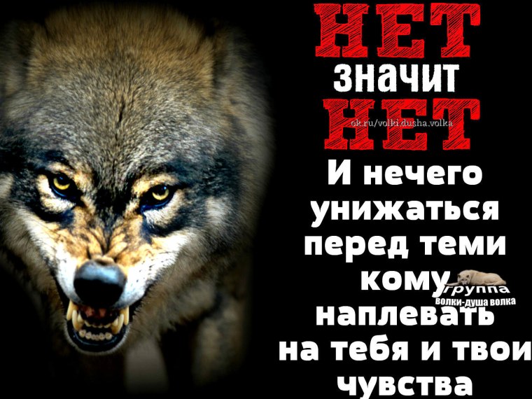 Оскал волка с надписью