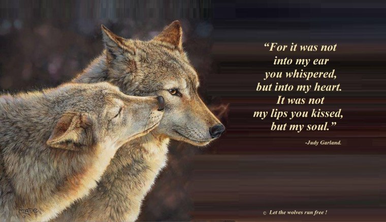 Кэрол Каваларис волки