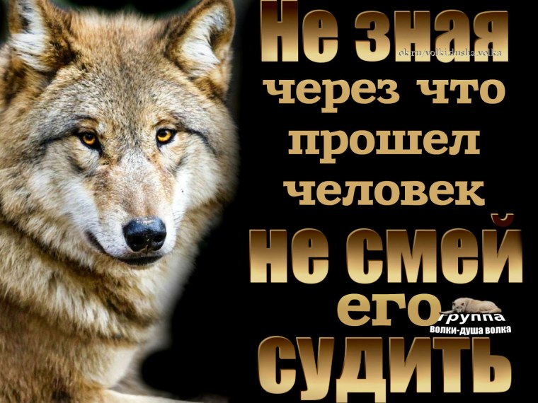 Волки душа волка с надписями
