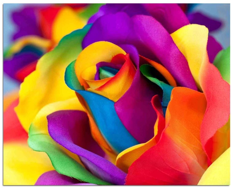 Яркие цвета