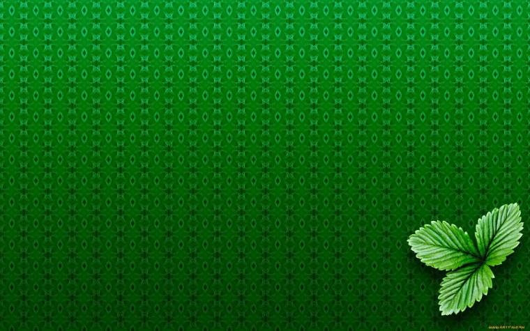 Обои Минимализм зеленые