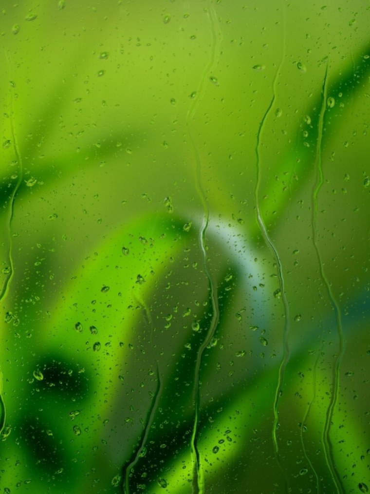 Зеленая заставка