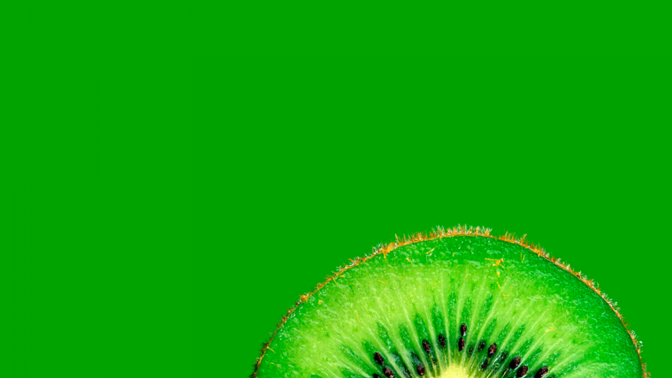 Зелёные обои на телефон