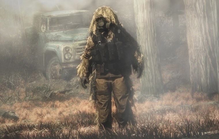 Дейз сталкер арт