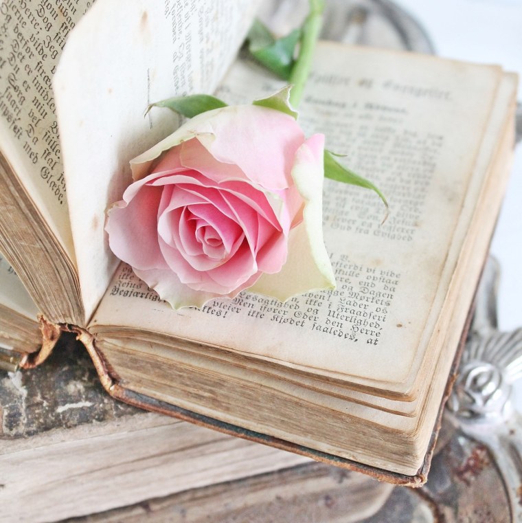 Кофе цветы красные книга