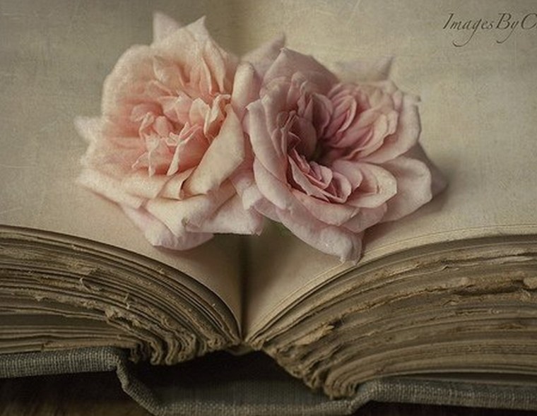 Книга цветы