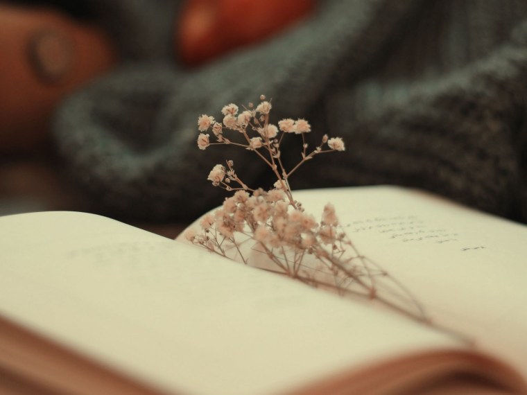 Эстетика розового