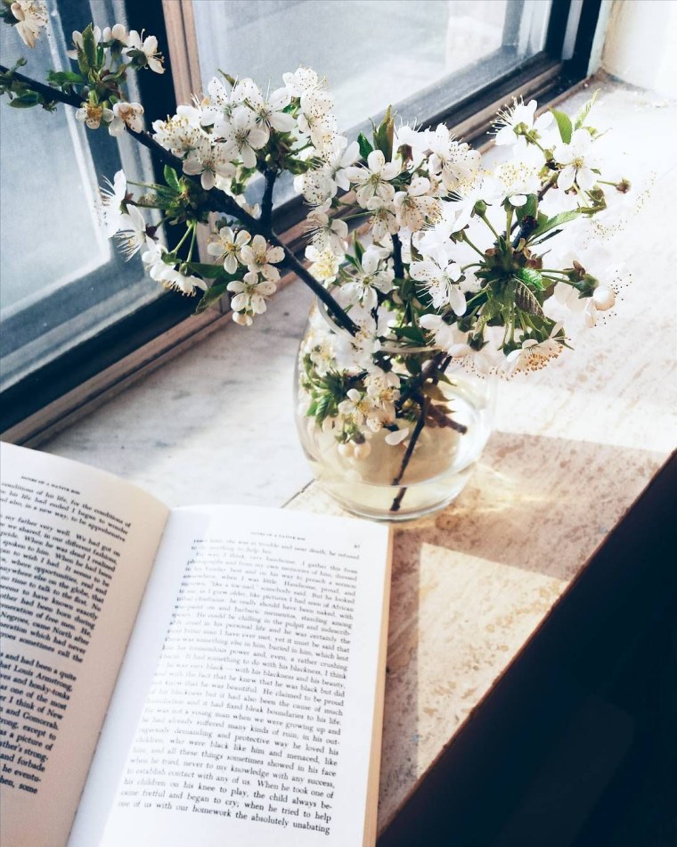 Книги и цветы эстетике