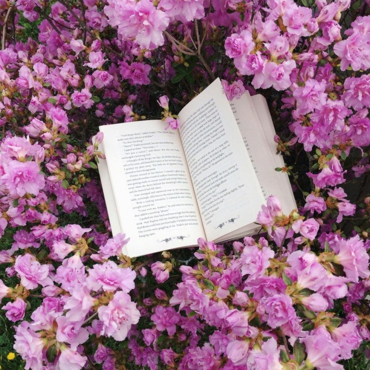 Книга с цветами Эстетика