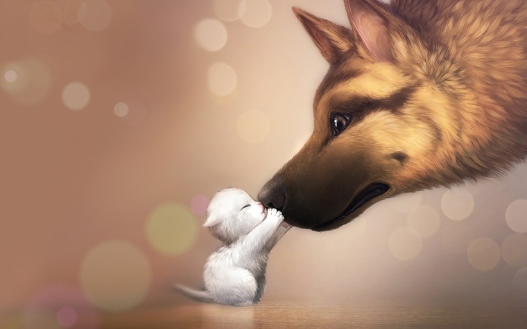 Милые открыточки