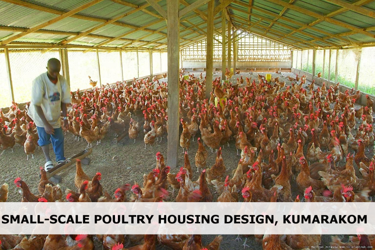 Птицекомплекс Южный