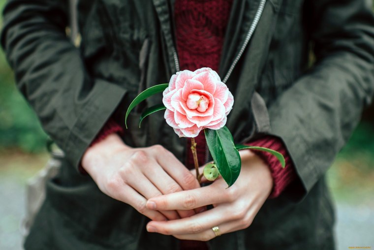 Красивый тёмно синий цвет