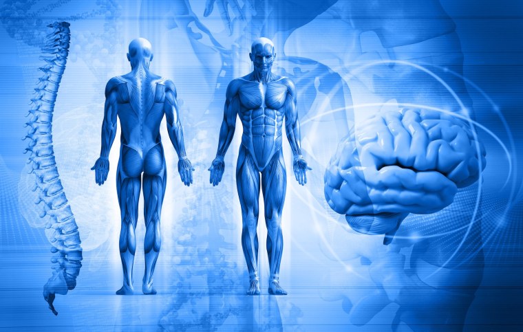 Информационное общество