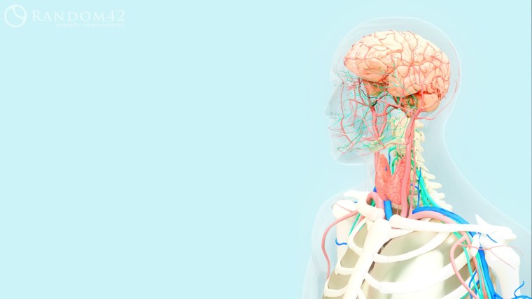 Паттерн люди