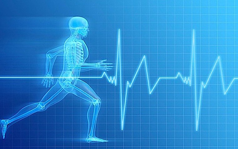 Правильное и неправильное питание