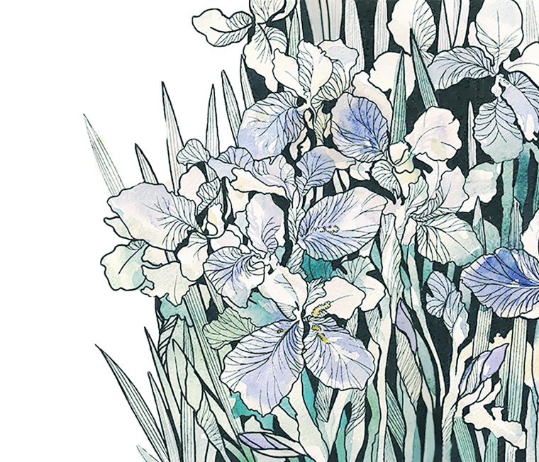 Ирисы дудлинг