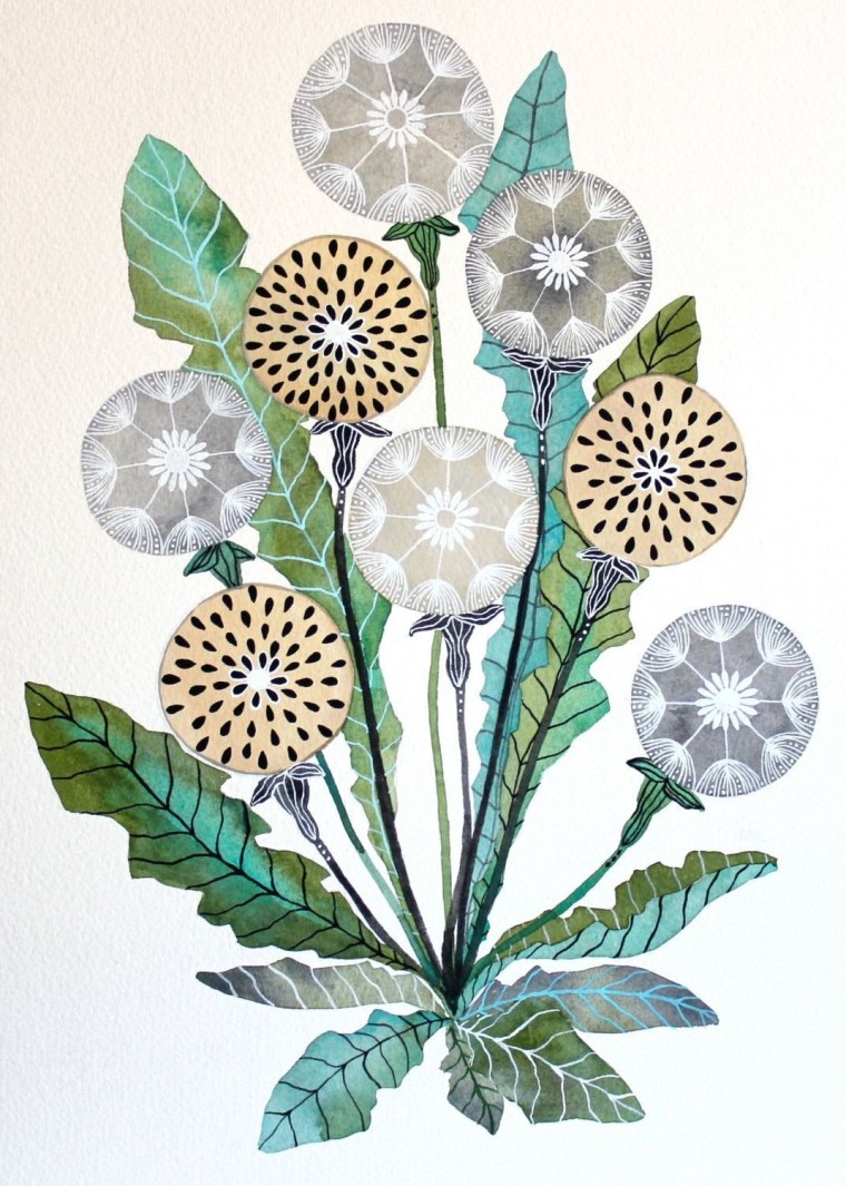 Ботаническая живопись одуванчик