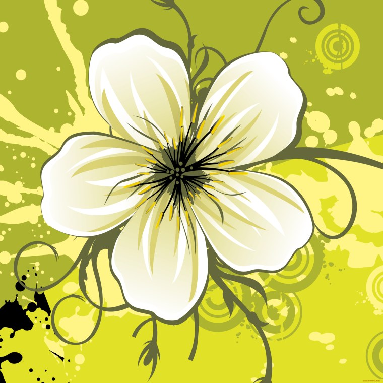 Стилизованные цветы розы