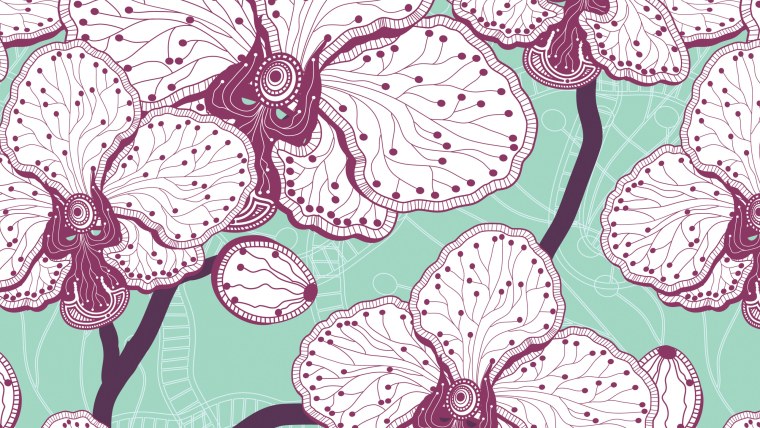 Мак стилизовка